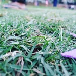 SkyParker - @skyparker65 - Instagram