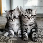 Sky Ray - @skyray.3 - Instagram