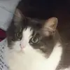SKYE - @skyesanchezz - TikTok