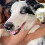 Sky Santana🐶 - @skys_antana - Instagram