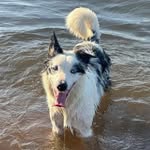 Sky Santana 🐕 - @skysantana_ - Instagram