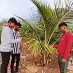 🇸 🇦 🇳 🇹 🇴 🇸 🇭 - @sky_santosh_90 - Instagram