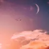 Sky Shadow - @skyshaddoww - TikTok