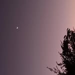sky_singer. - @jc.baby00 - Instagram