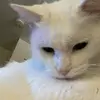 bri - @skyofsoleil - TikTok