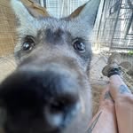 Skyler Trammell - @skyler.trammell - Instagram