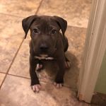 Sky Vasquez 🐶☁️ - @s.k.y.v.v - Instagram