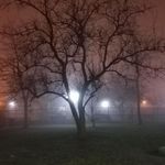Sky - @skyvelez00 - Instagram