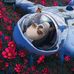 Sky Walker - Facebook