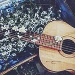SKY - @sky_willson - Instagram