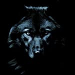 Osman1903 - @skywolf1903 - Instagram