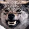 Sky_Wolf - @sky_wolf92 - TikTok
