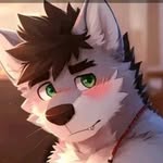 ✦⭑Ｔｅʏσs⭑✦ - @sky_wolf_54 - Instagram