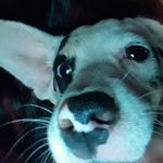 sky xavier - @sky.xavier3 - Instagram