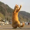 Sky Zhang - @sky.zhang5 - TikTok