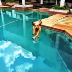 Sky Zhang - @jumpskye - Instagram