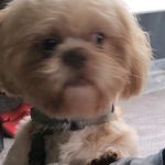 SkyeAlbert - @skyealbert7 - Instagram