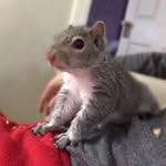 Skye - @skye_babe2019 - Instagram