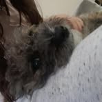 Skye Baird - Facebook