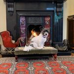 Skye Bichon-Jackie Bennett - @skye__bennett_ - Instagram