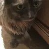 MSkyebingham123 - @mskyebingham123 - TikTok