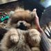 Skye Bingham - Facebook