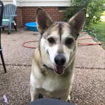 sky boswell - @skyboswell - Instagram
