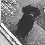 Mopdndj - @hi_skye_conner - Instagram