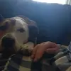 Sky Conner - @sky.conner - TikTok