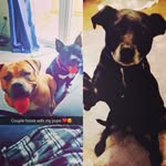 skye cooper - @bullytonez_3 - Instagram