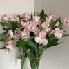 skye_harper26 - @skye_harper26 - TikTok