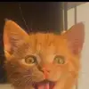his - @skyehiggins - TikTok