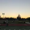 skye - @skye.levy - TikTok