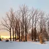 Skye Martin - @skylevelviews - TikTok