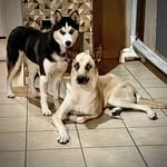 MORGAN & SKYE - @skyemorgan2022 - Instagram