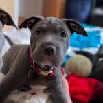 Skye Nelson - @pawpaw_skye - Instagram
