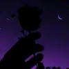 Skye Phillips - @skye_phillips233 - TikTok