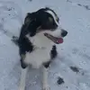 skye - @skyeporter120 - TikTok
