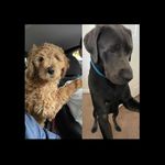 Maverick & Skye Powers - @maverickandskye - Instagram