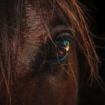 skye stevens - @digital_dreams_photography - Instagram