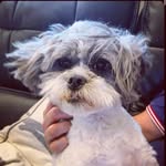 Skyla Alexander - @skyla_dog7 - Instagram