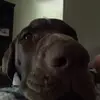 skyla.alexander444 - @love2223338438 - TikTok