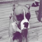 Skyla_Bell - @skyla_belle - Instagram