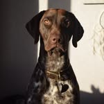 Skyla Mitchell - @skylathegsp - Instagram