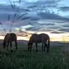 skylamitchell6675309 - @skylamitchell6675309 - TikTok