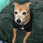 Skylar Barker - @blankie225 - Instagram