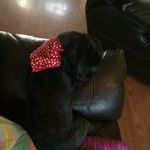 Skylar Faith Davidson - @sky_cheer_2006 - Instagram