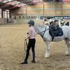 ".. 🐎 ѕкуℓαя 🐎 .." - @skylardavies3 - TikTok