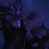 skylardavies827 - @skylardavies397 - TikTok