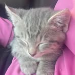 Skylar Lawson - Facebook